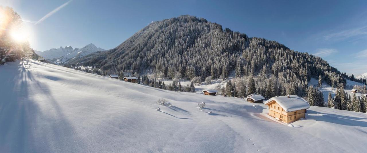 Chalet Berghaus Gauertal Schruns Dış mekan fotoğraf